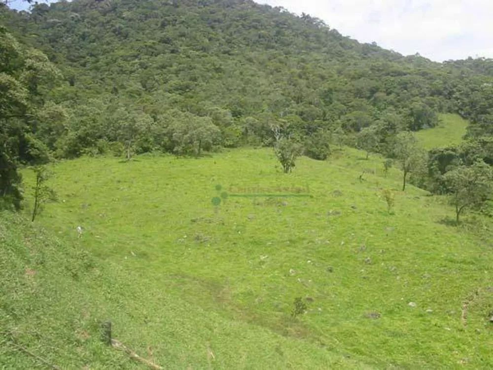 Terreno, 68 hectares - Foto 4