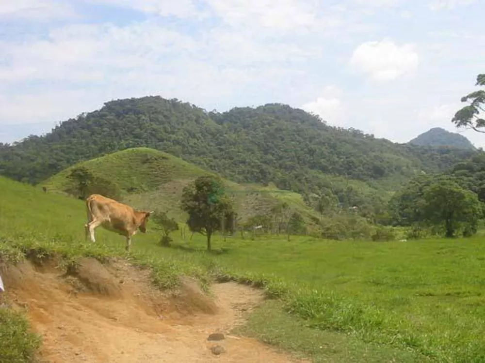 Terreno, 68 hectares - Foto 8