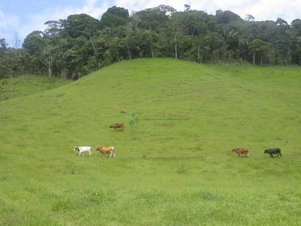 Terreno, 68 hectares - Foto 3