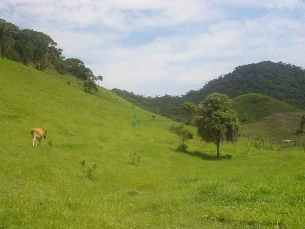 Terreno, 68 hectares - Foto 1