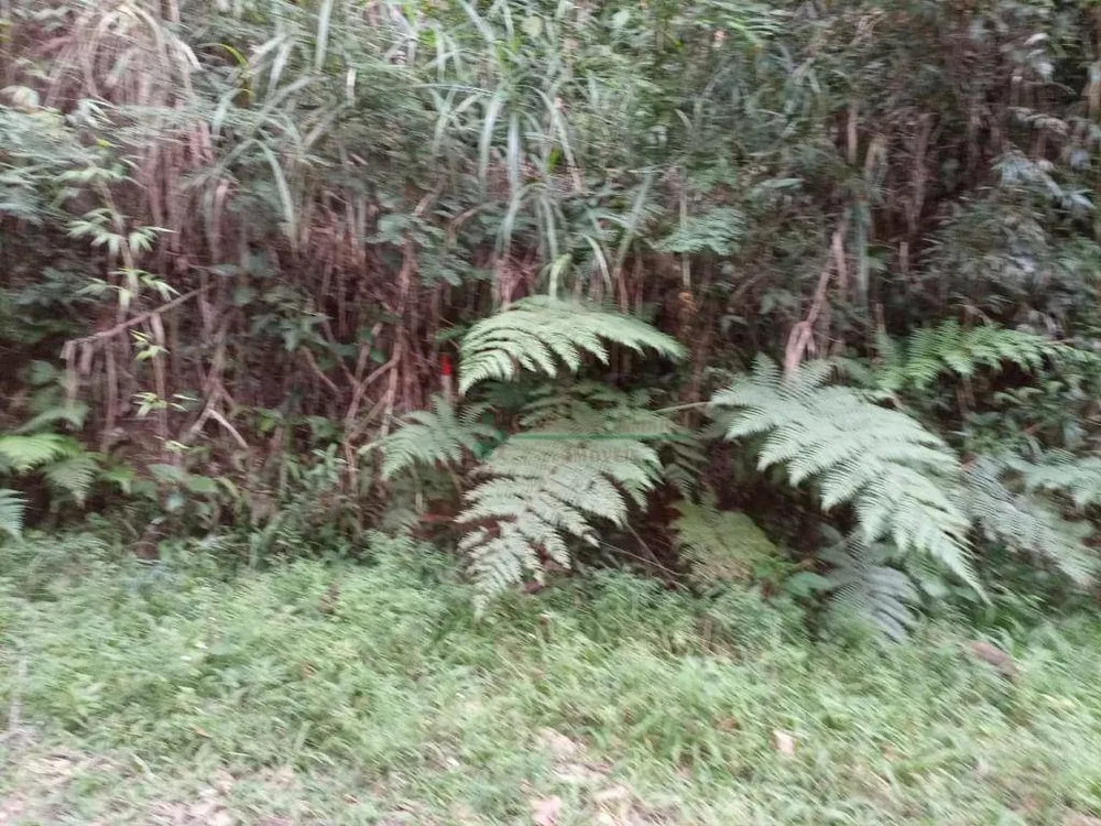 Loteamento e Condomínio, 10000 m² - Foto 4