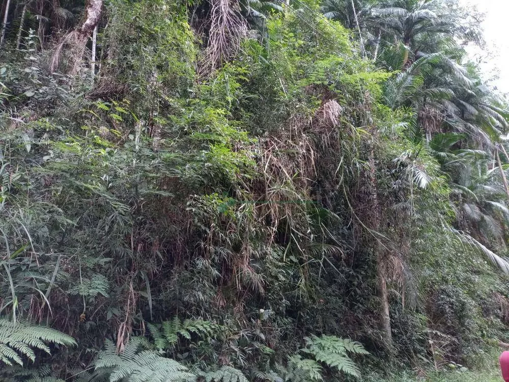 Loteamento e Condomínio, 10000 m² - Foto 3