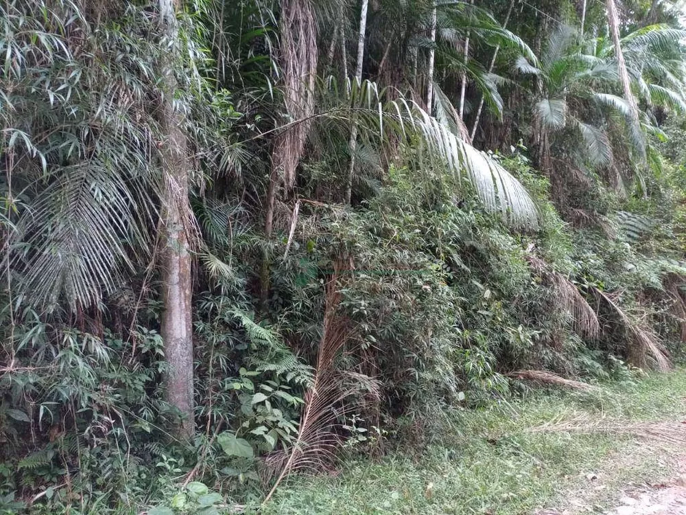 Loteamento e Condomínio, 10000 m² - Foto 1