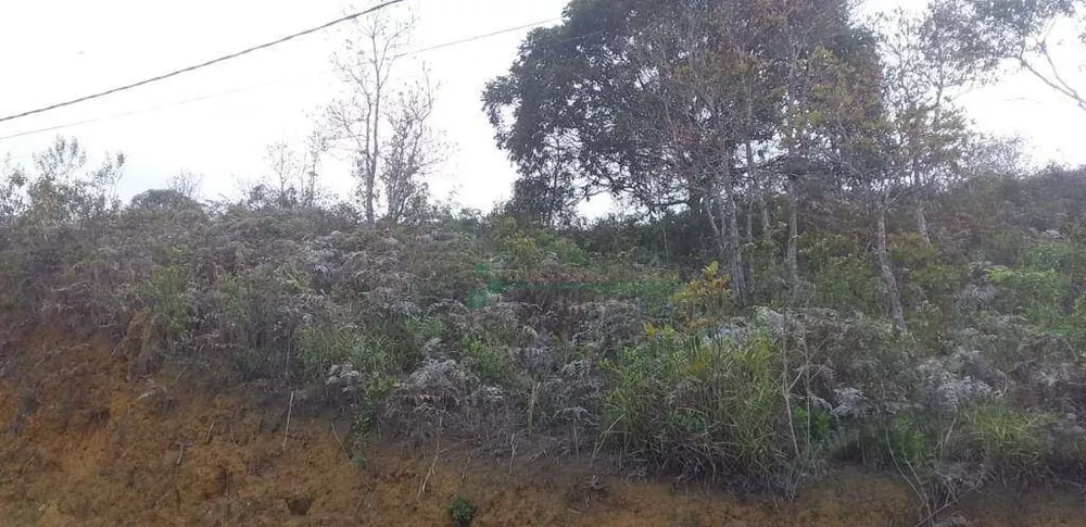 Loteamento e Condomínio, 399 m² - Foto 1