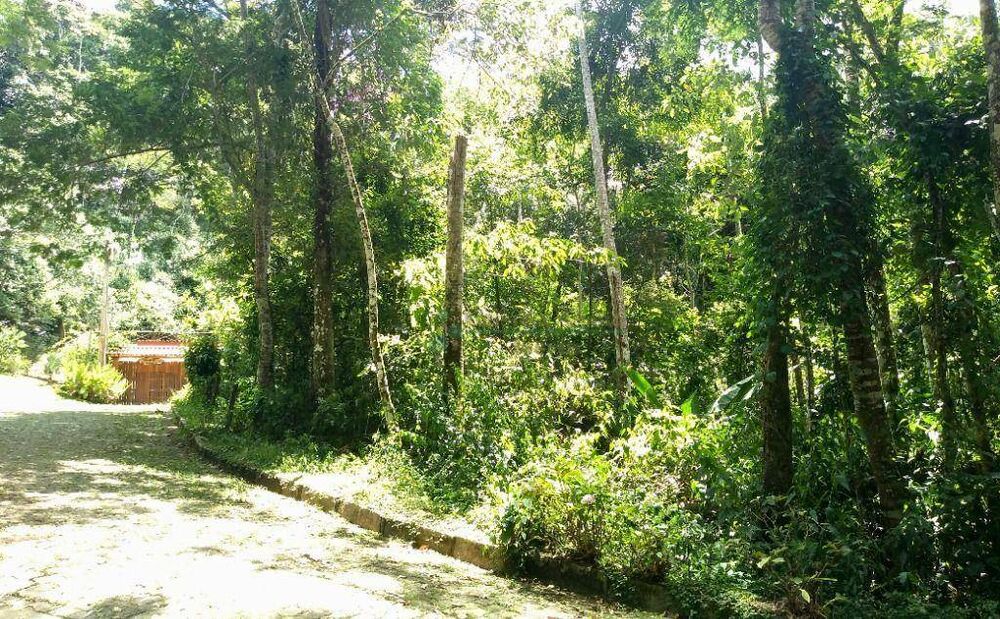 Loteamento e Condomínio, 1050 m² - Foto 3