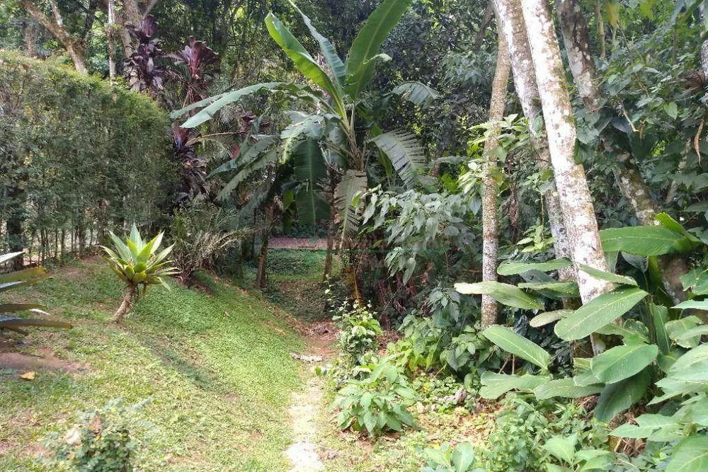 Loteamento e Condomínio, 1050 m² - Foto 6