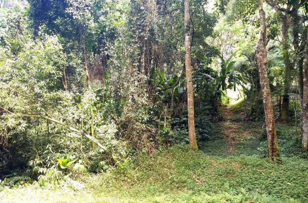 Loteamento e Condomínio, 1050 m² - Foto 7