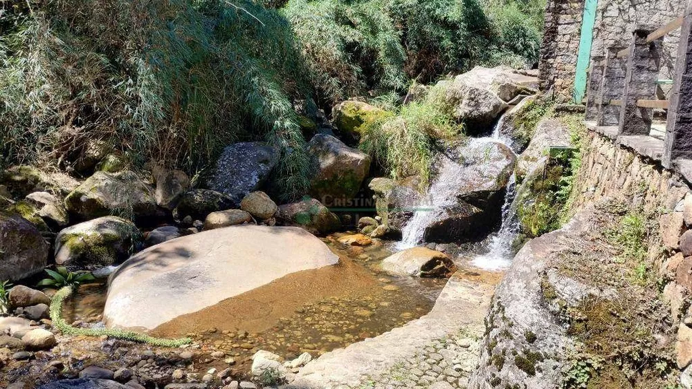 Chácara, 5 quartos, 6 hectares - Foto 17