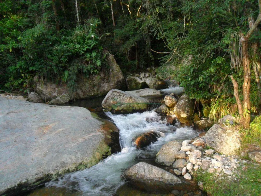 Chácara, 4 quartos, 14 hectares - Foto 52