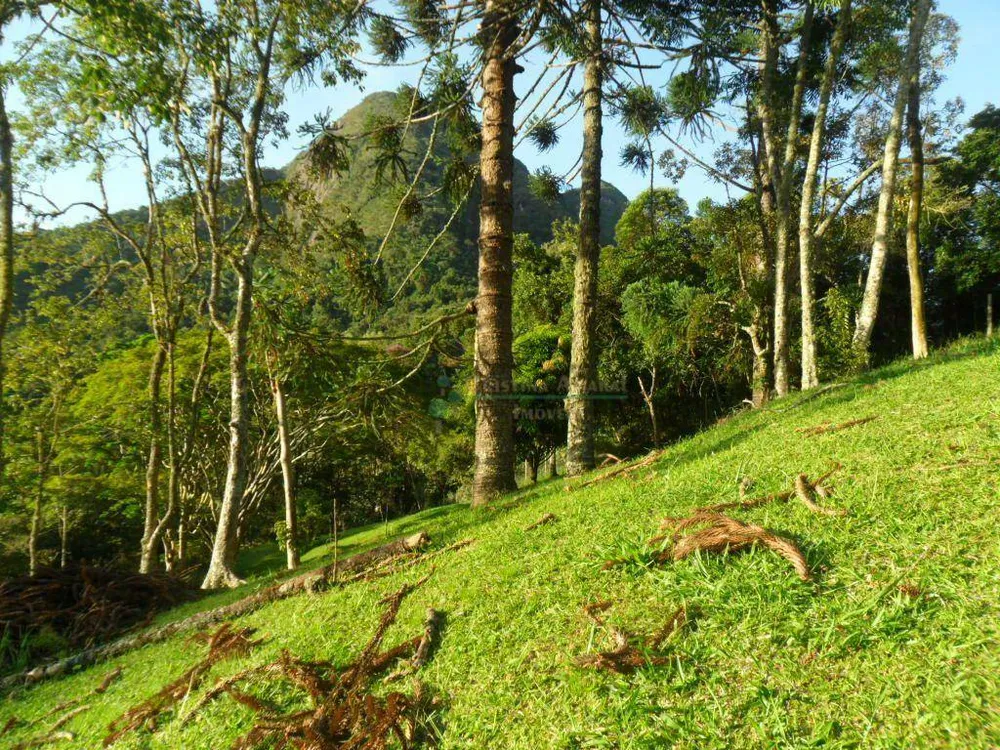 Chácara, 4 quartos, 14 hectares - Foto 11