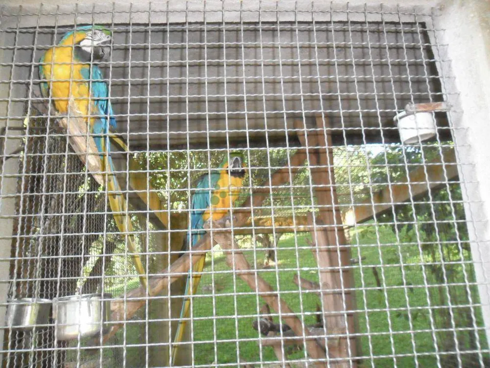 Chácara, 4 quartos, 14 hectares - Foto 16