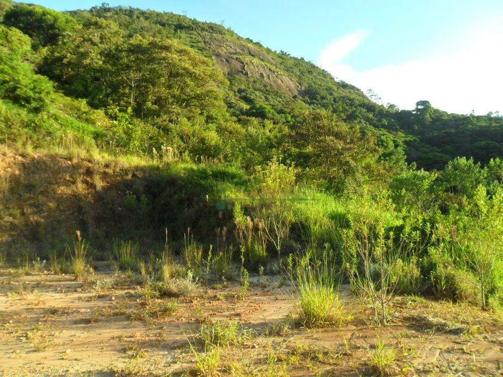Chácara, 4 quartos, 14 hectares - Foto 46