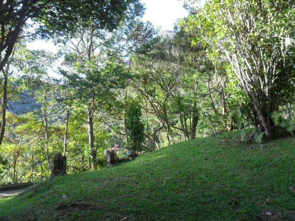 Chácara, 4 quartos, 14 hectares - Foto 7