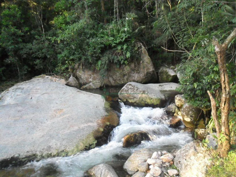 Chácara, 4 quartos, 14 hectares - Foto 47