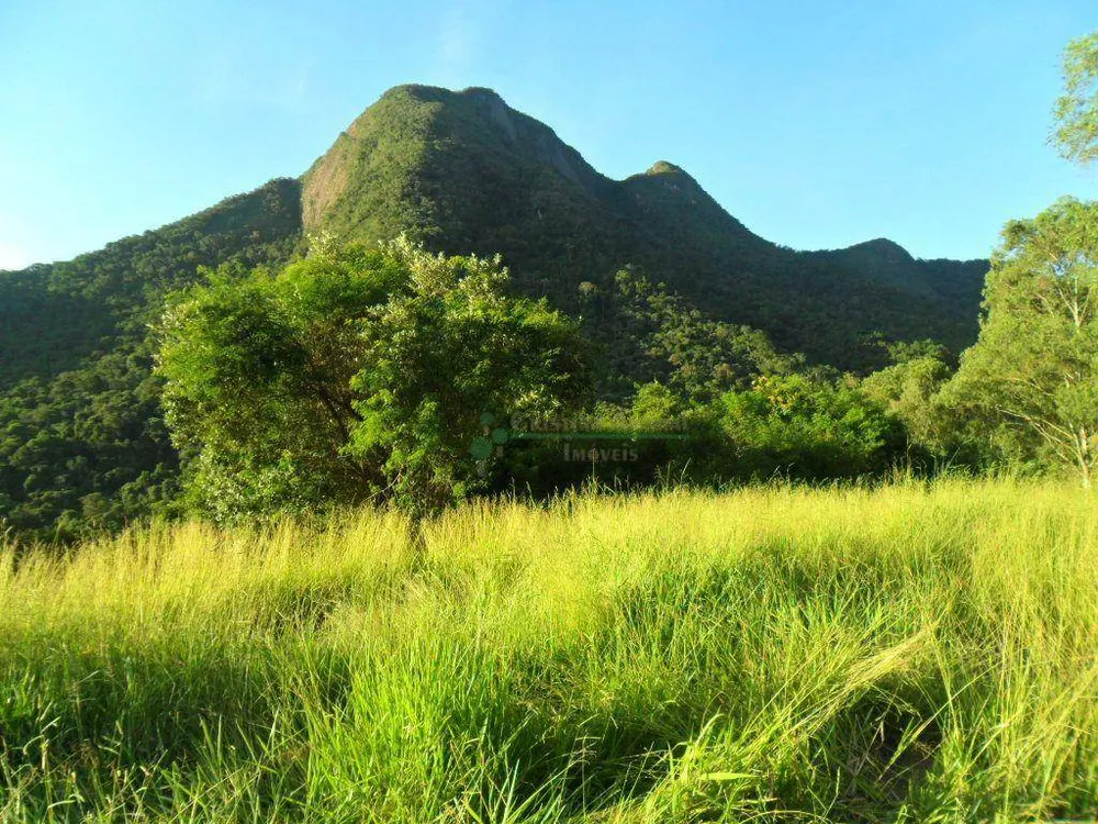 Chácara, 4 quartos, 14 hectares - Foto 10