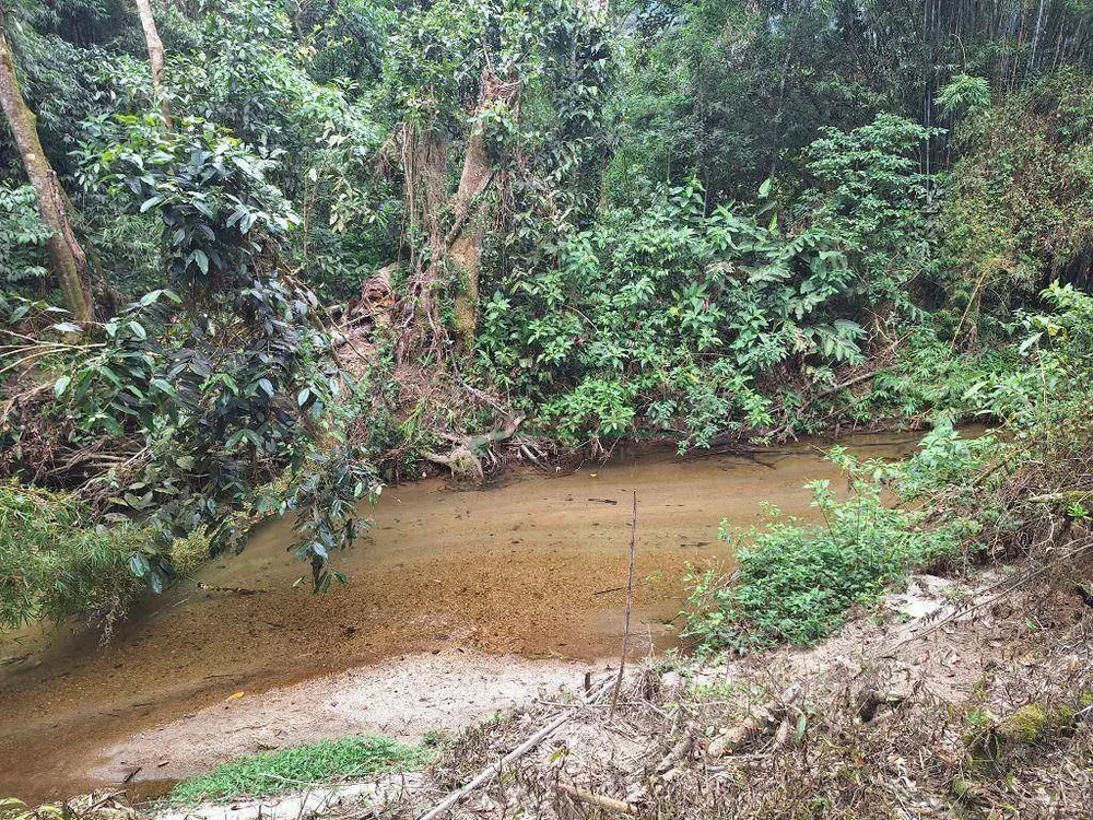 Sítio, 5 quartos, 8 hectares - Foto 10