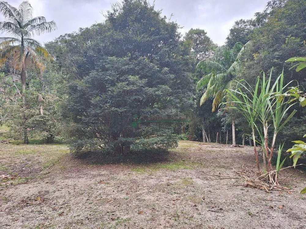 Sítio, 5 quartos, 8 hectares - Foto 7