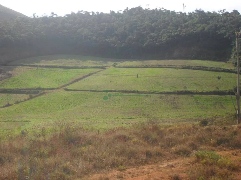 Sítio, 3 quartos, 25 hectares - Foto 5