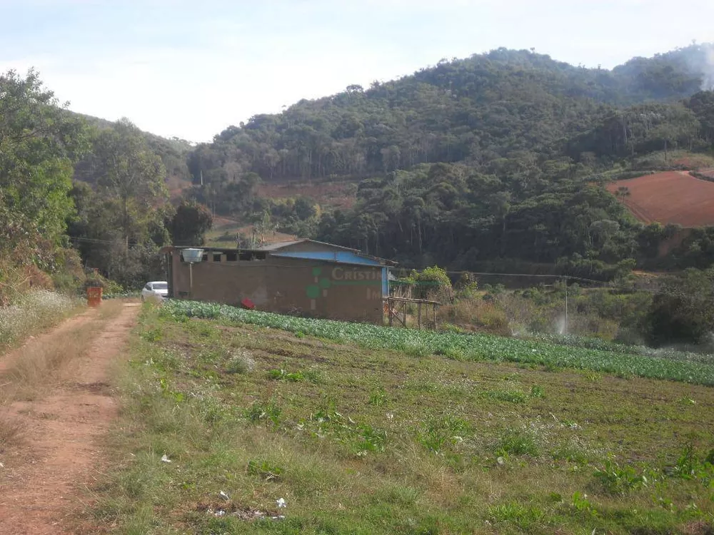 Sítio, 3 quartos, 25 hectares - Foto 14