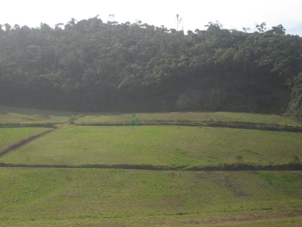 Sítio, 3 quartos, 25 hectares - Foto 18