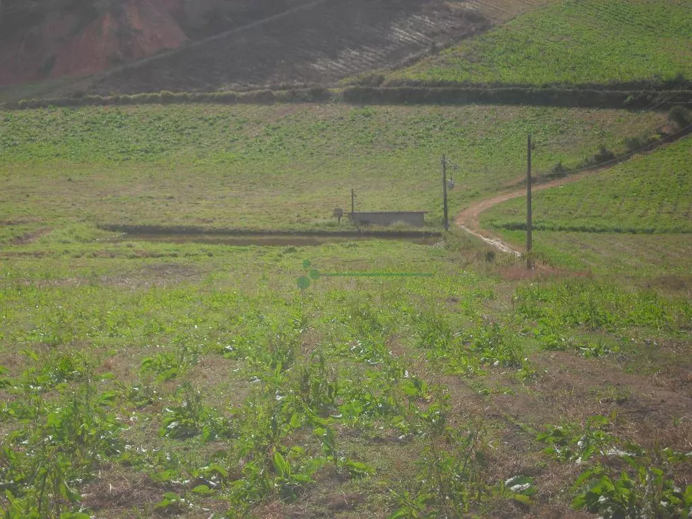 Sítio, 3 quartos, 25 hectares - Foto 16