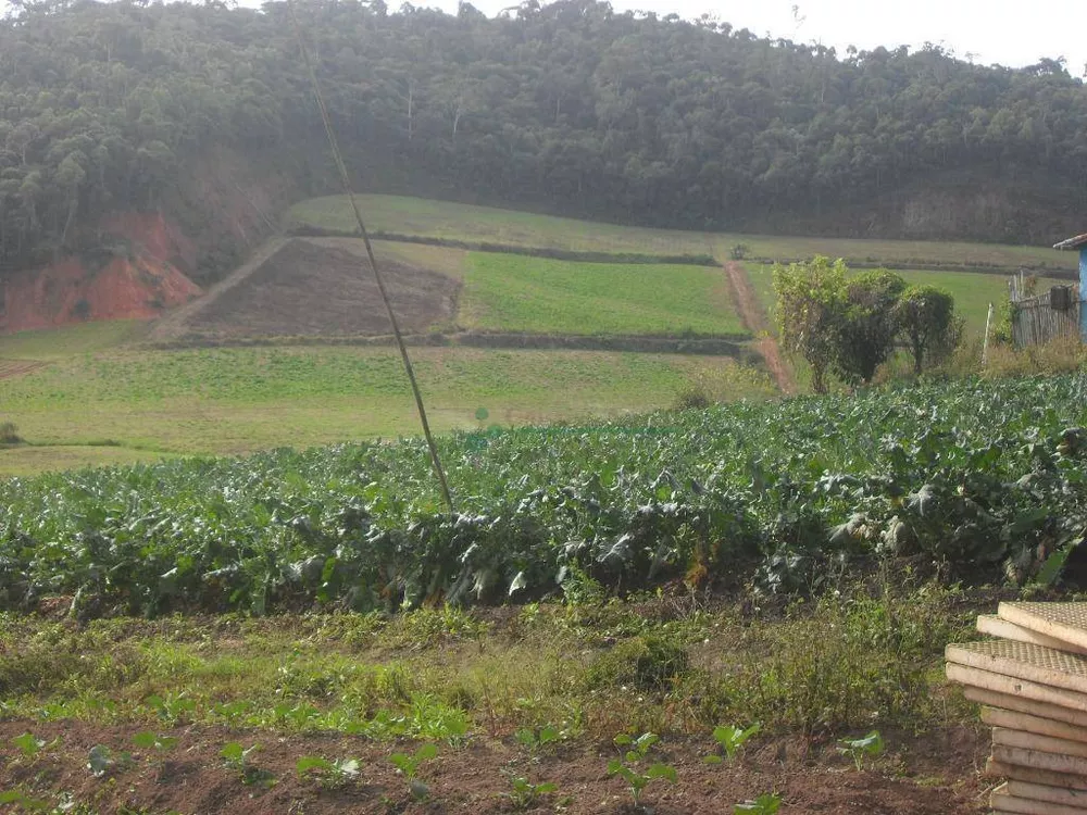 Sítio, 3 quartos, 25 hectares - Foto 10