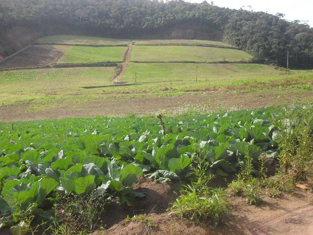 Sítio, 3 quartos, 25 hectares - Foto 7