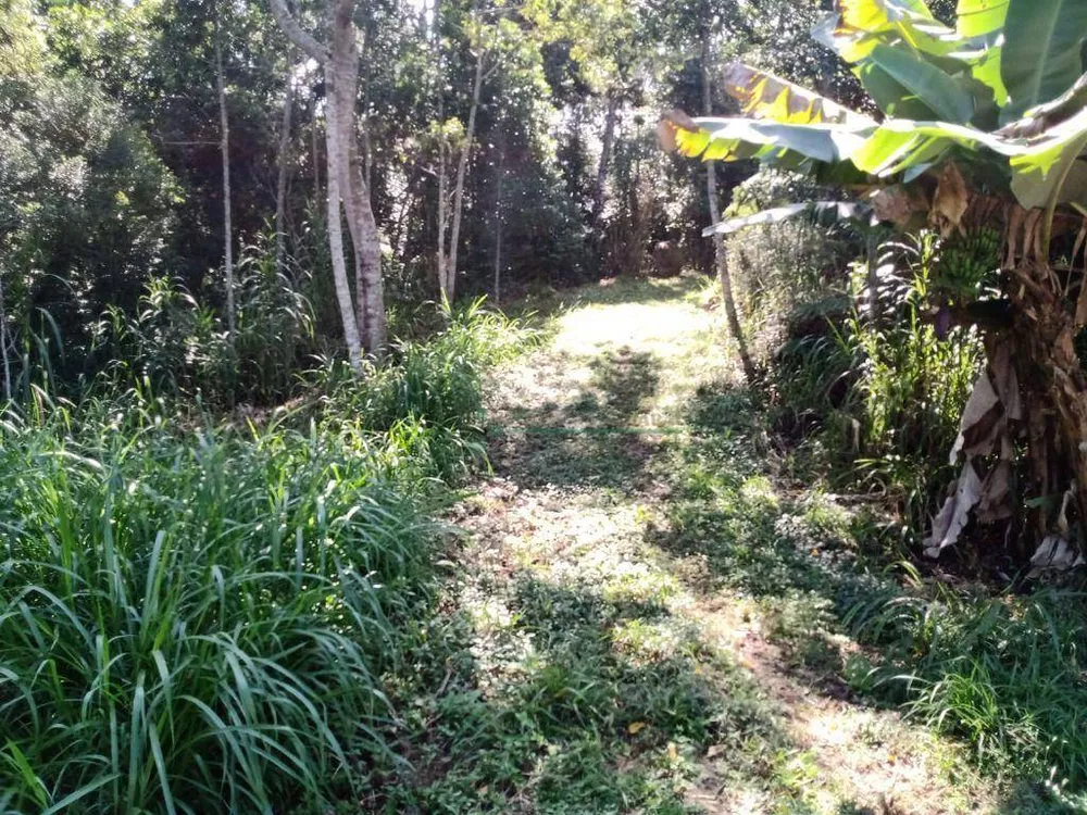 Terreno, 1 hectares - Foto 8