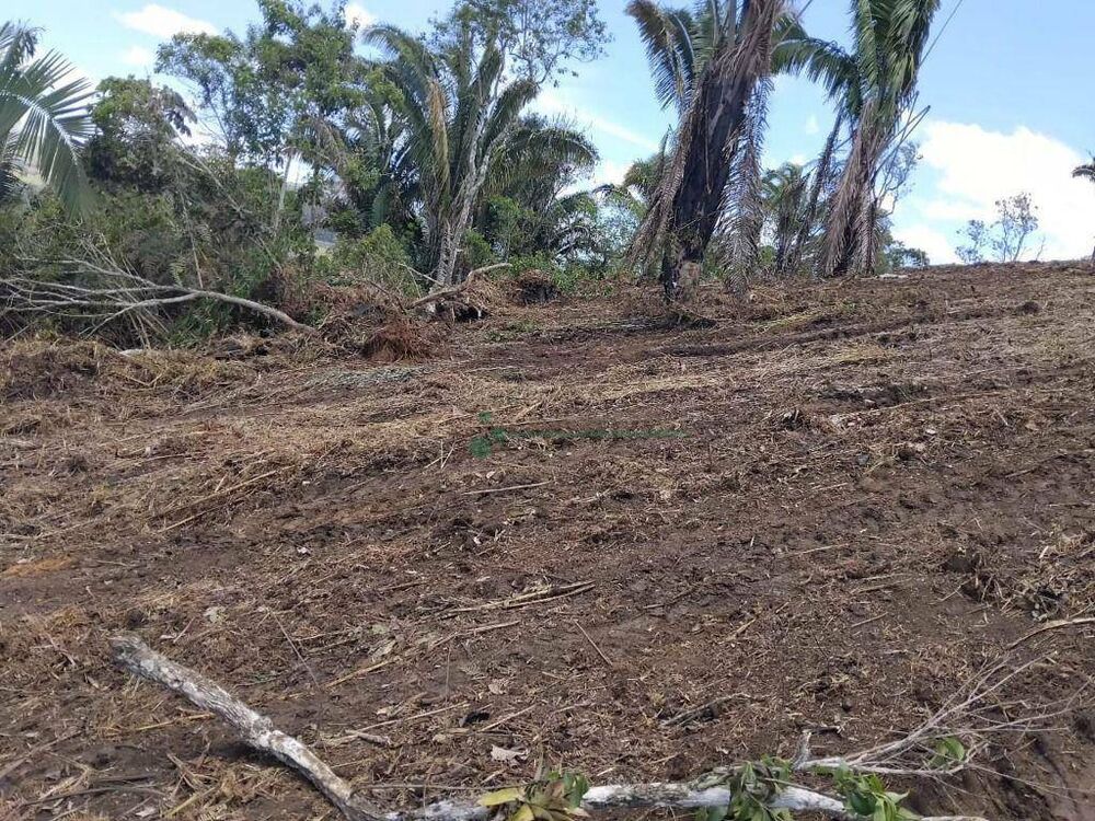 Terreno à venda, 27000M2 - Foto 7