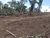 Terreno, 3 hectares - Foto 7