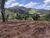 Terreno, 3 hectares - Foto 3