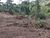 Terreno, 3 hectares - Foto 4