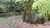 Terreno, 2703 m² - Foto 4