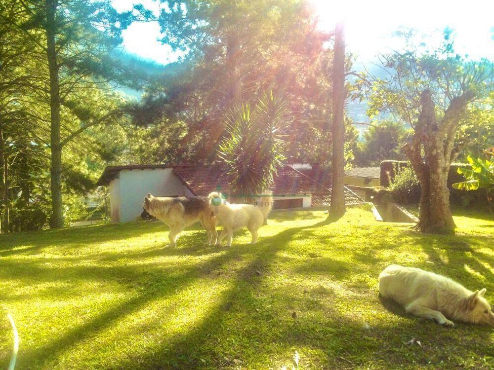 Casa, 3 quartos, 212 m² - Foto 14