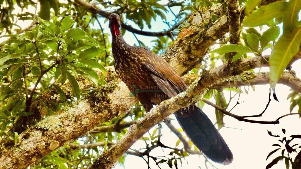 Casa, 3 quartos, 212 m² - Foto 9