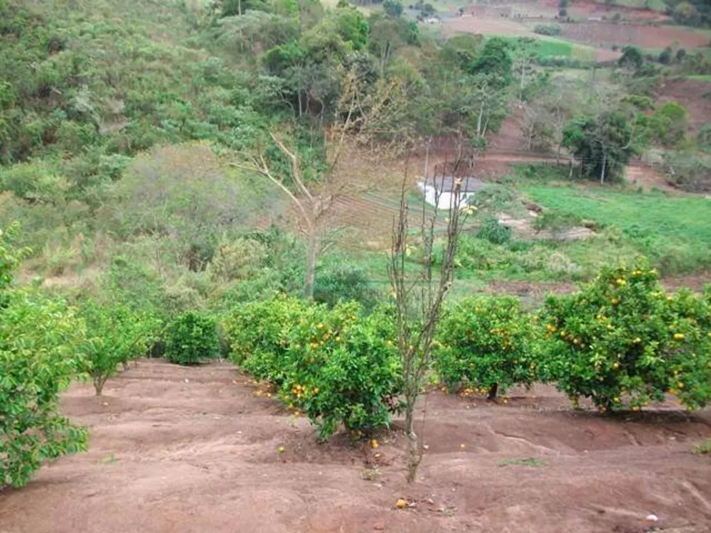 Fazenda, 30 hectares - Foto 20
