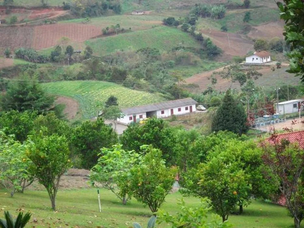 Fazenda, 30 hectares - Foto 37