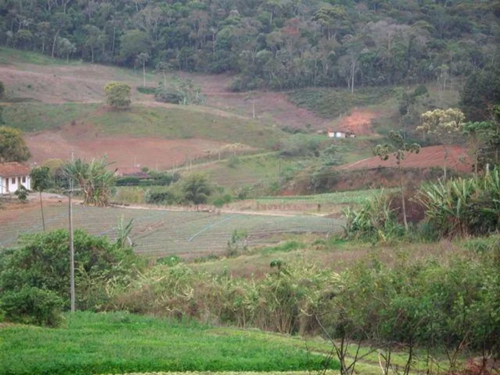 Fazenda, 30 hectares - Foto 35