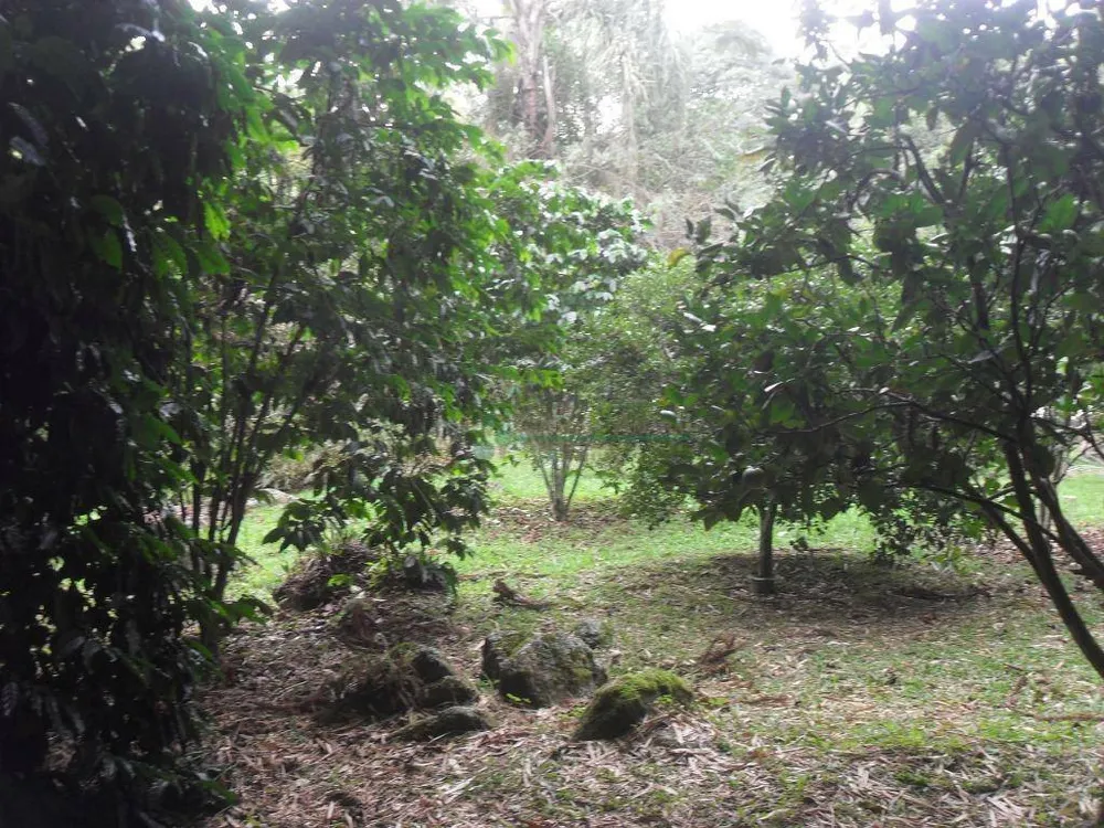 Sítio, 5 quartos, 12 hectares - Foto 9