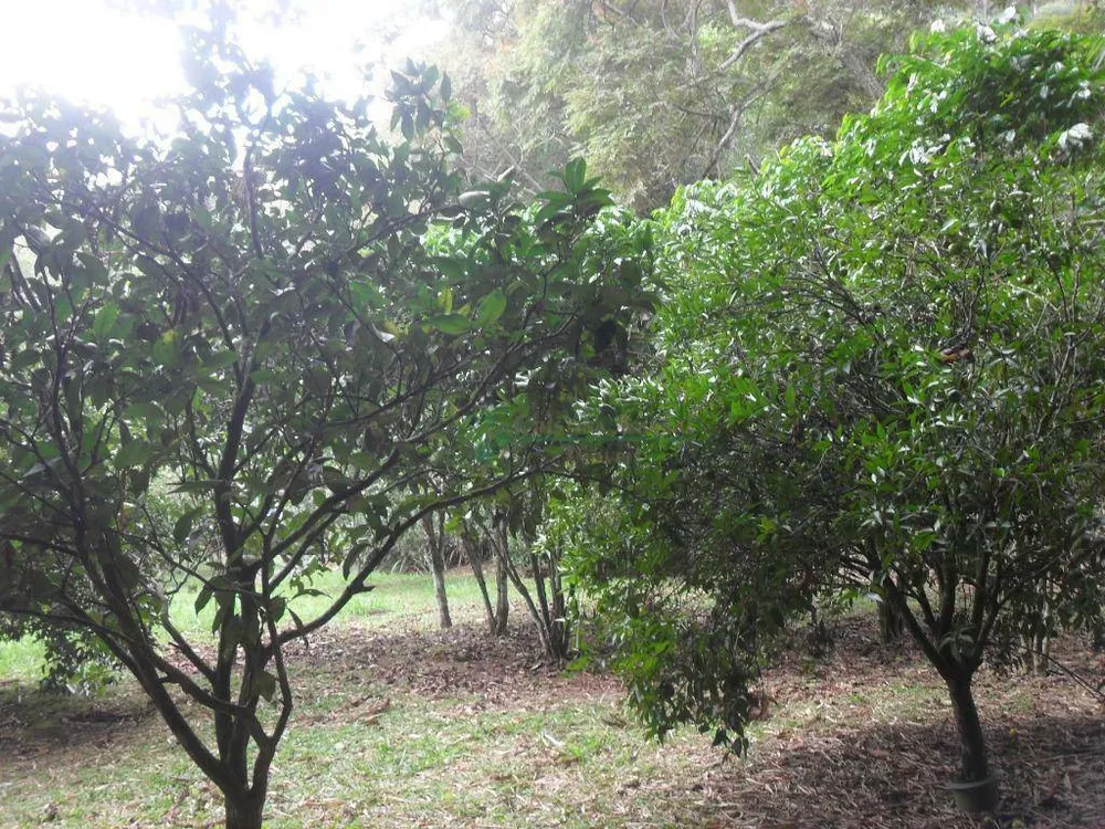 Sítio, 5 quartos, 12 hectares - Foto 10