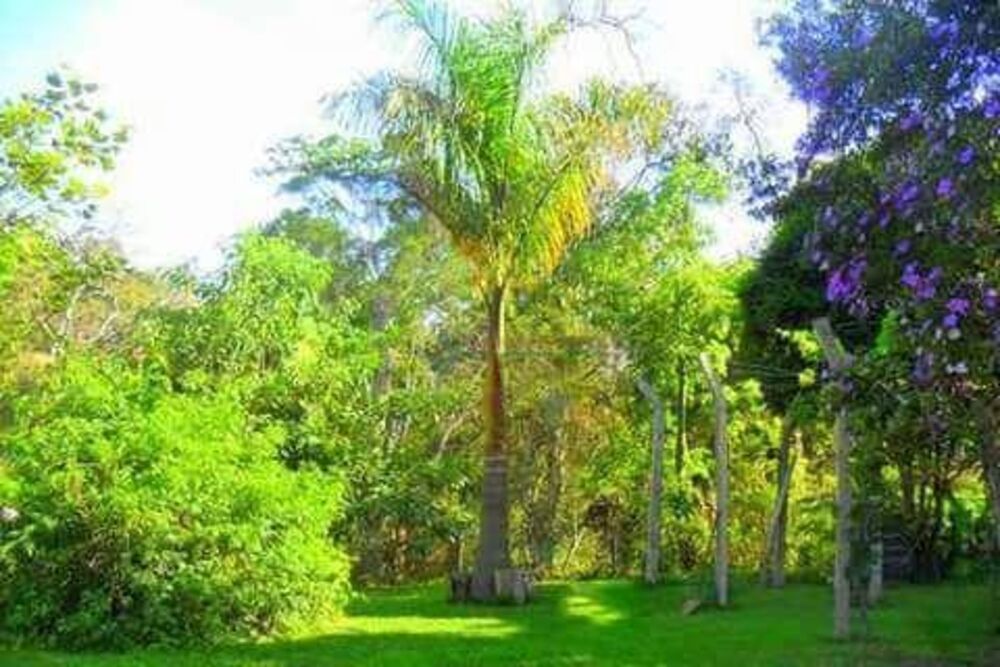 Sítio, 4 quartos, 5070 m² - Foto 37