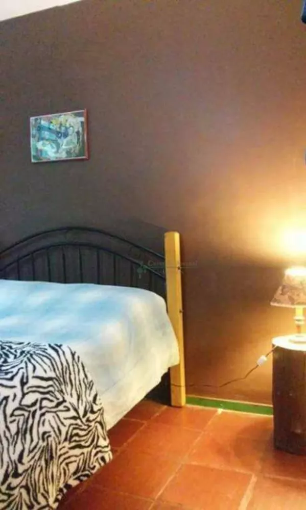 Sítio, 4 quartos, 5070 m² - Foto 26