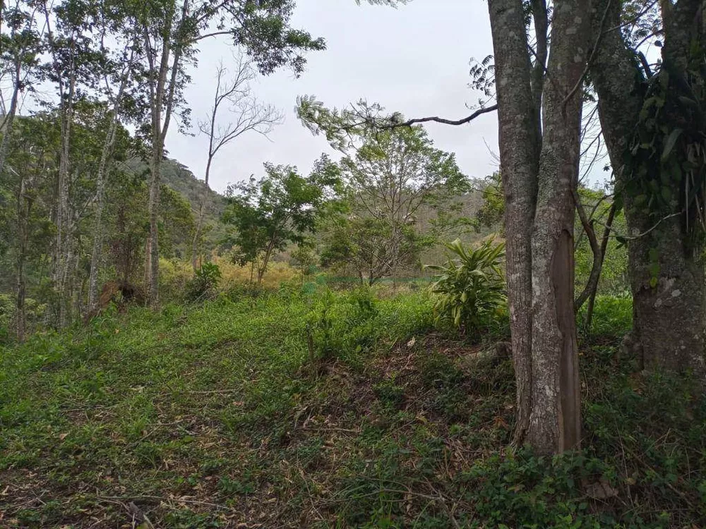 Terreno à venda, 3000M2 - Foto 6