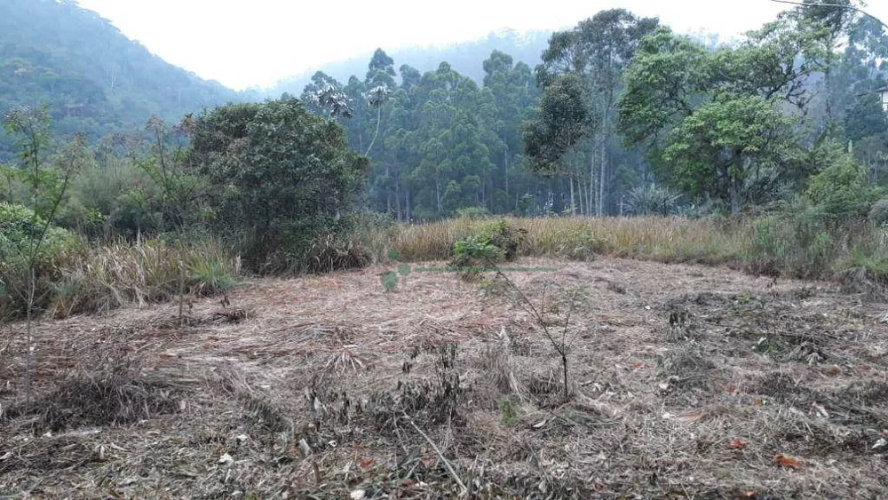 Terreno à venda, 3000M2 - Foto 8