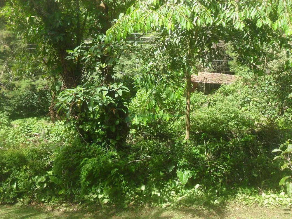 Sítio, 5 quartos, 1 hectares - Foto 33