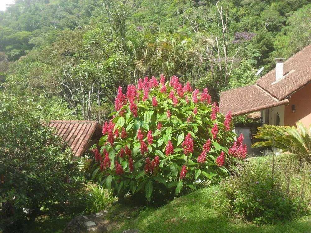 Sítio, 5 quartos, 1 hectares - Foto 11