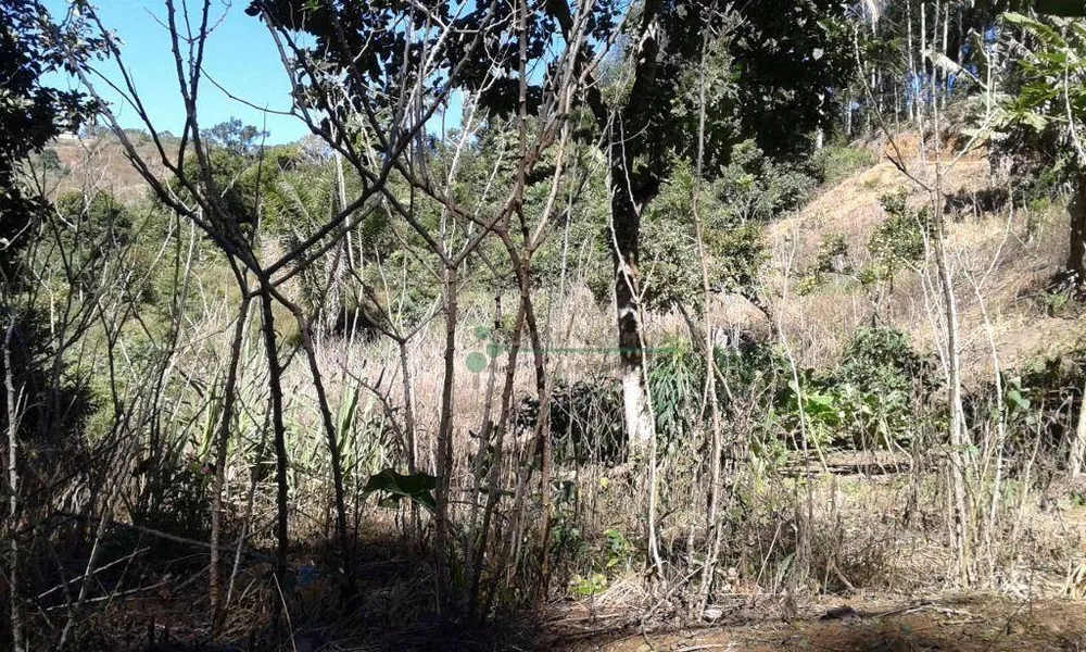 Loteamento e Condomínio à venda, 1550M2 - Foto 1