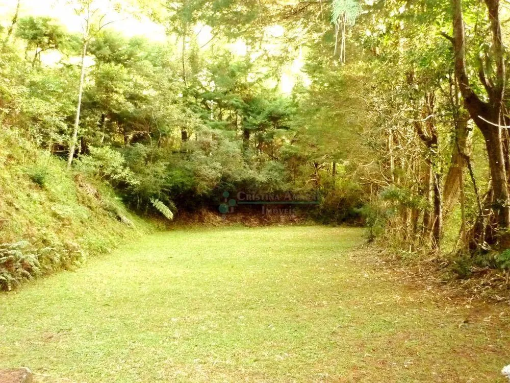 Sítio, 6 quartos, 5 hectares - Foto 14