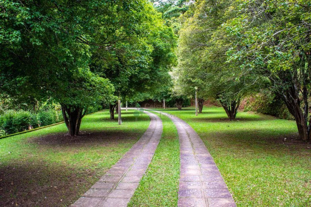 Casa, 4 quartos, 350 m² - Foto 29