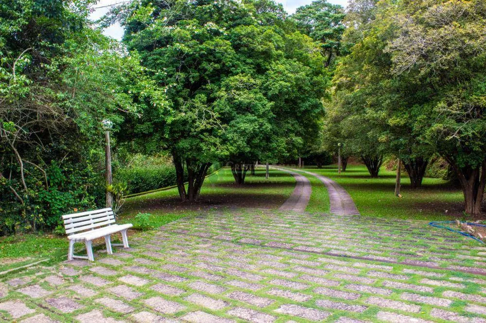 Casa, 4 quartos, 350 m² - Foto 27